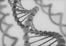 UCD Centre for Bioinformatics